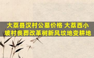 大荔县汉村公墓价格 大荔西小坡村丧葬改革树新风坟地变耕地